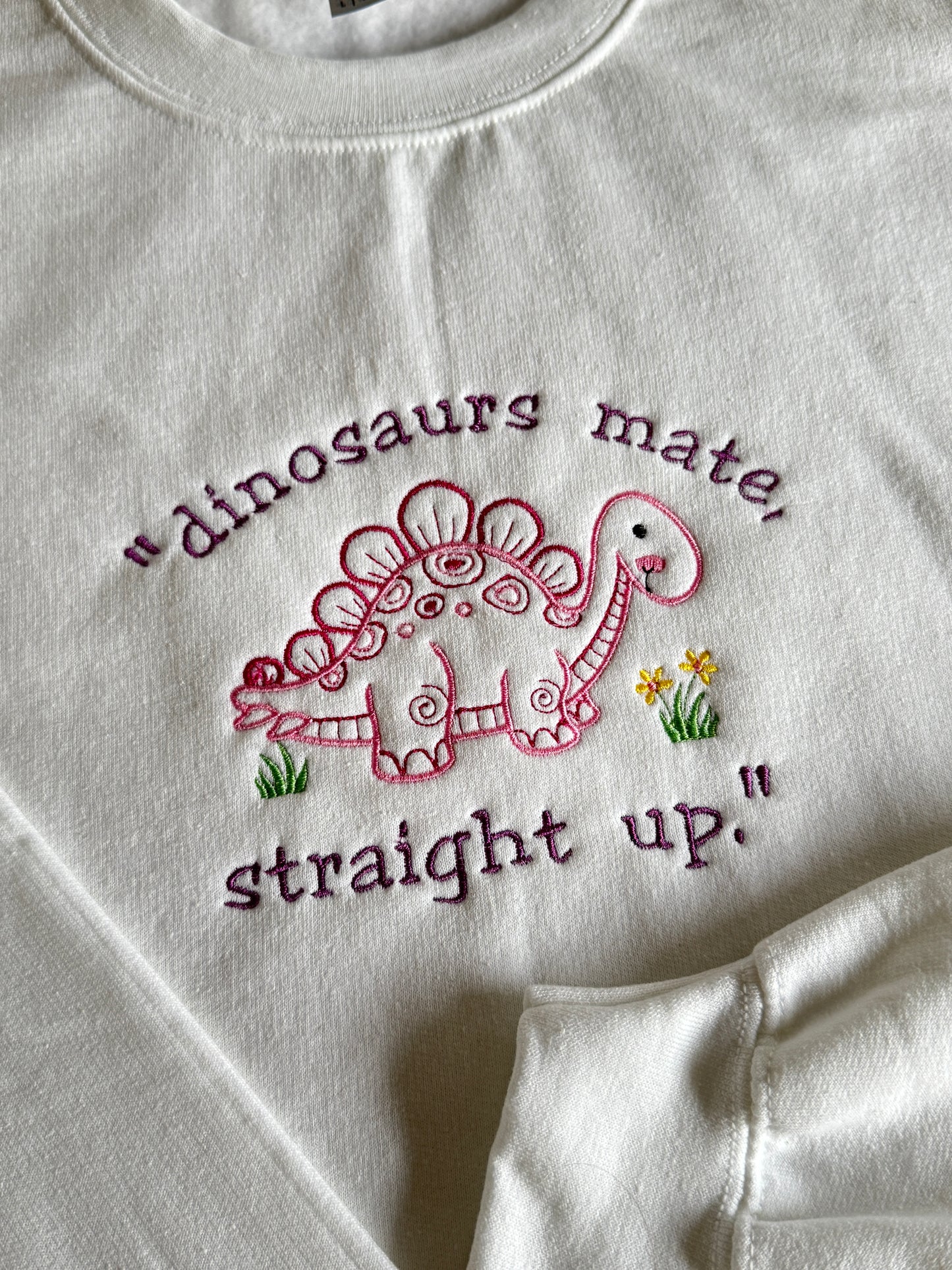 "Dinosaurs mate, straight up." One Direction Embroidered Crewneck Sweatshirt